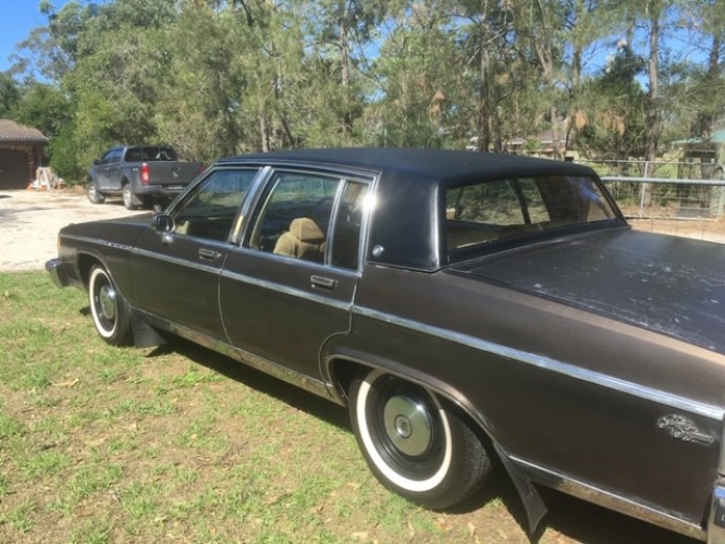 1980 Buick Electra, Park Avenue